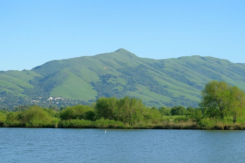 Best Tub To Shower Conversion pros in Fremont, CA